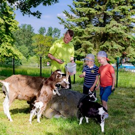 Kinderhotel: Saisonales Streichelgehege mit Ziegen - AHORN Berghotel Friedrichroda