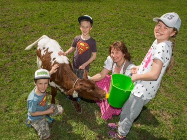 Kinderhotel: Bauernhoftag beim cool Kids Fun Programm - Familien- und Sportresort Alpenblick