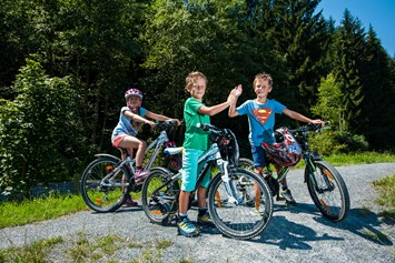 Kinderhotel: Bike - Familien- und Sportresort Alpenblick