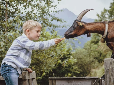 Kinderhotel: Sportresort Alpenblick Kinderspass Familienfreuden Ziegenfüttern  - Familien- und Sportresort Alpenblick