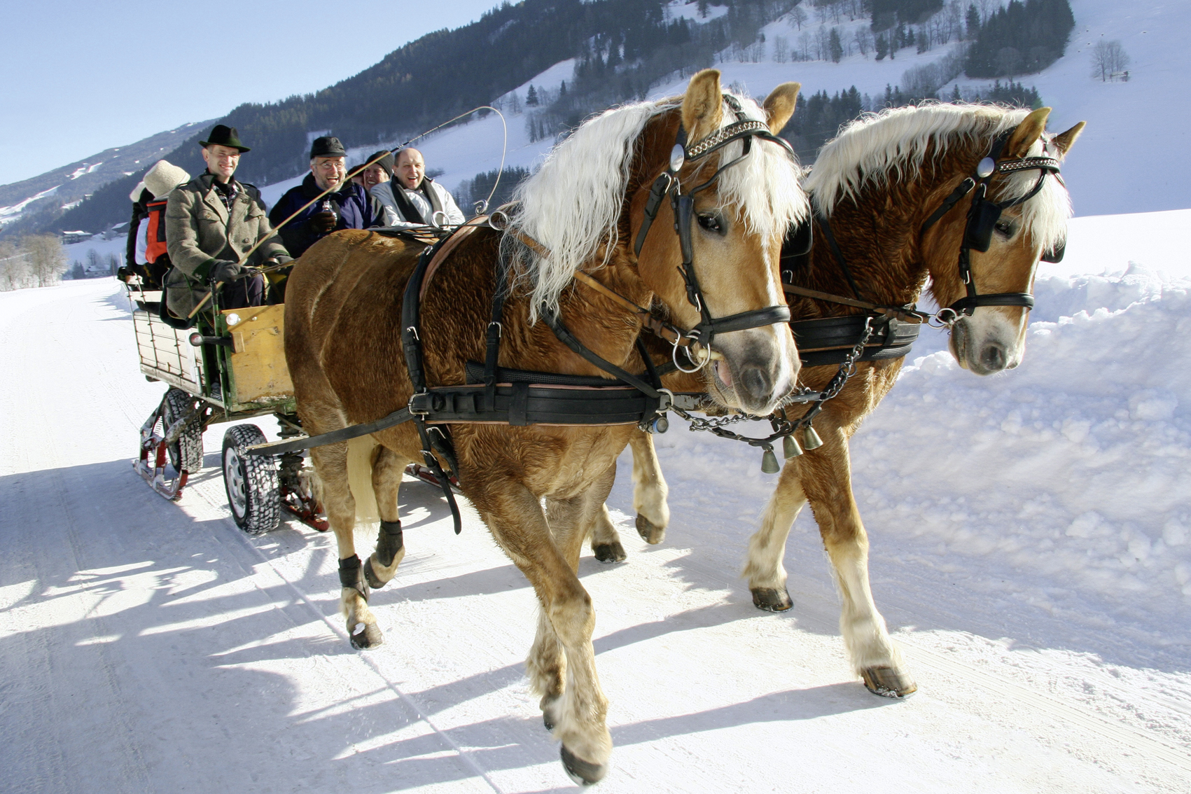 Kinderhotel: Romantische Pferdekutschenfahrten - Aparthotel Schloss Thannegg