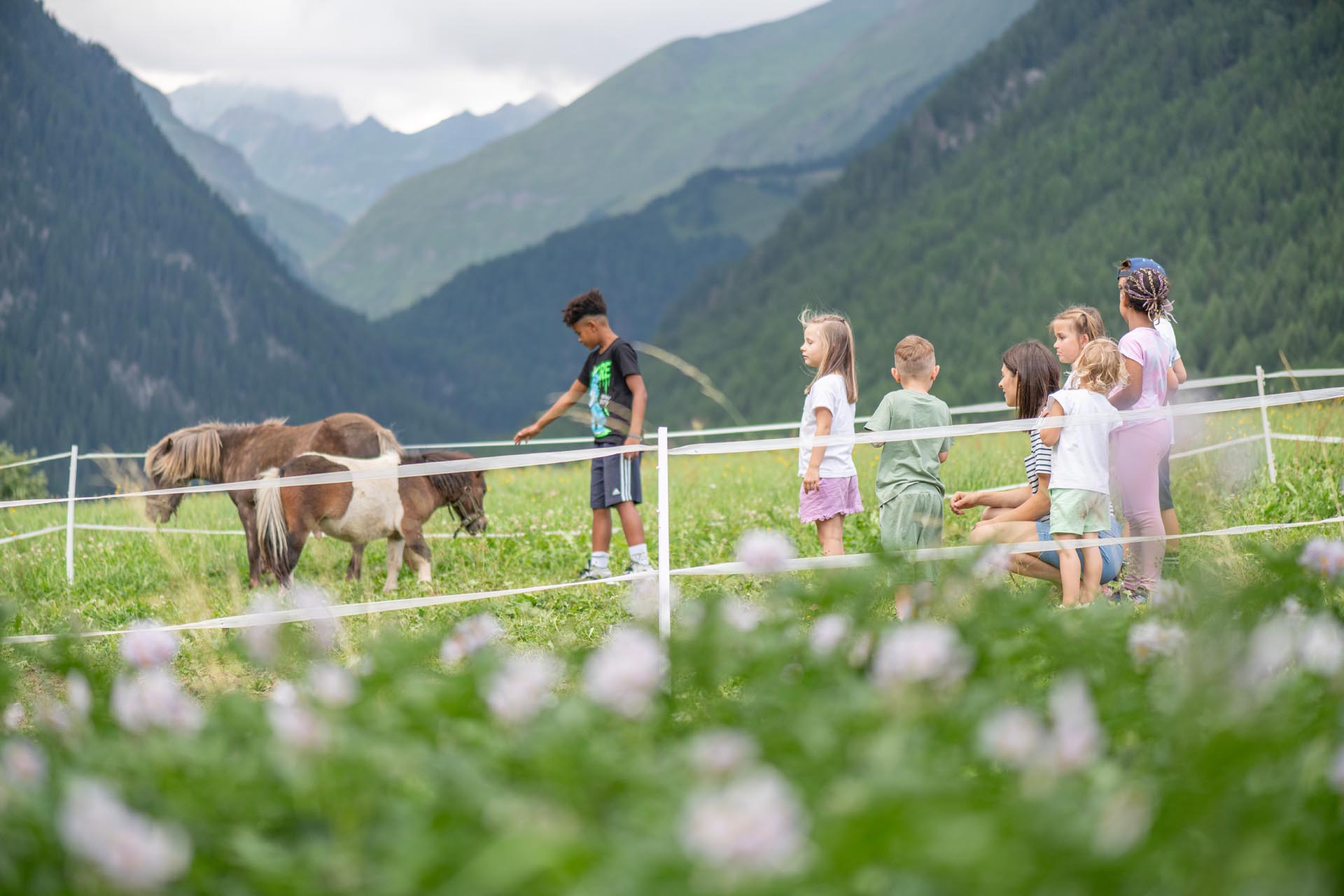 Kinderhotel: linara bio family hotel - Hotel | Umgebung