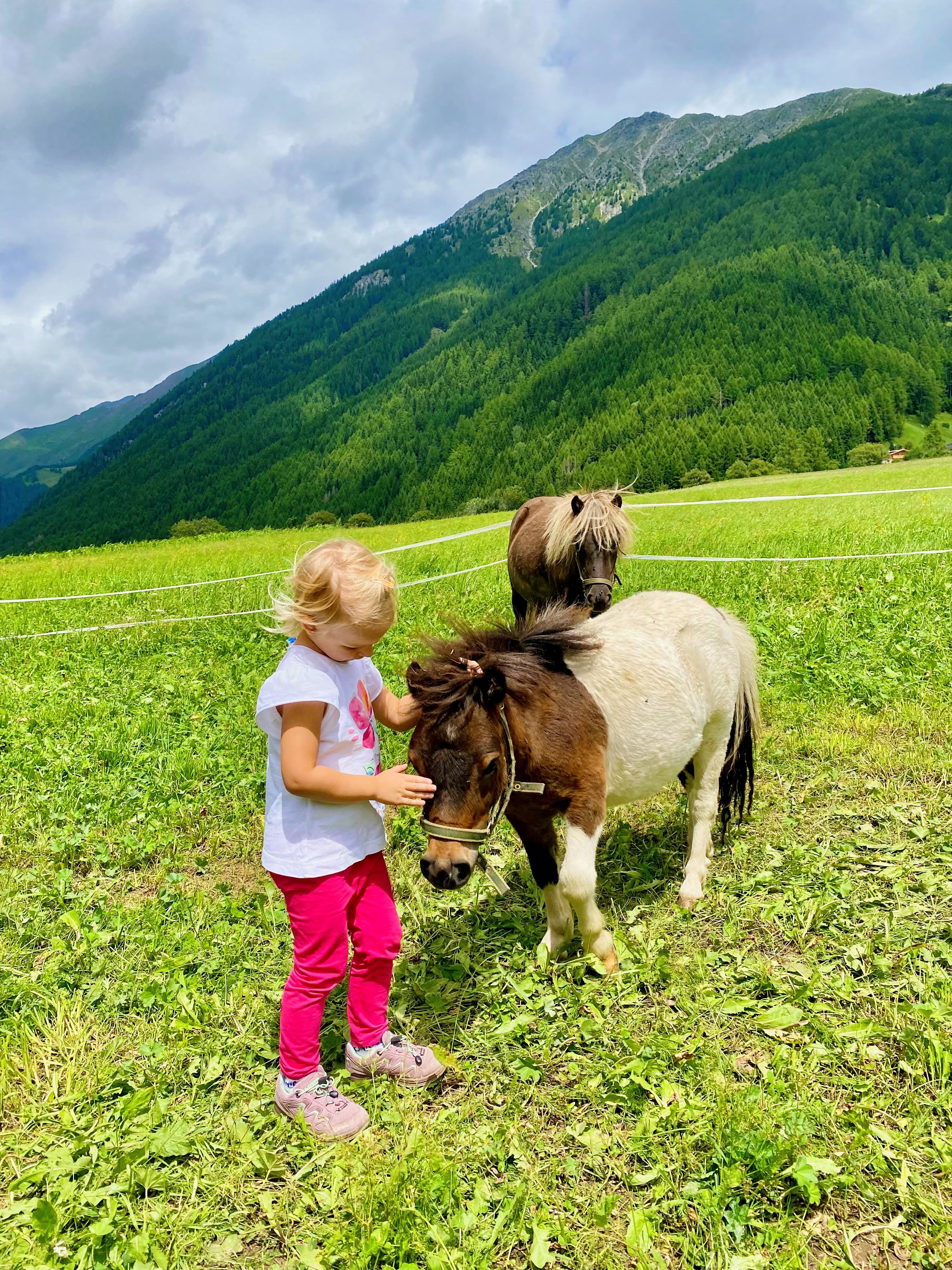 Kinderhotel: linara mountain family stay - Hotel | Umgebung