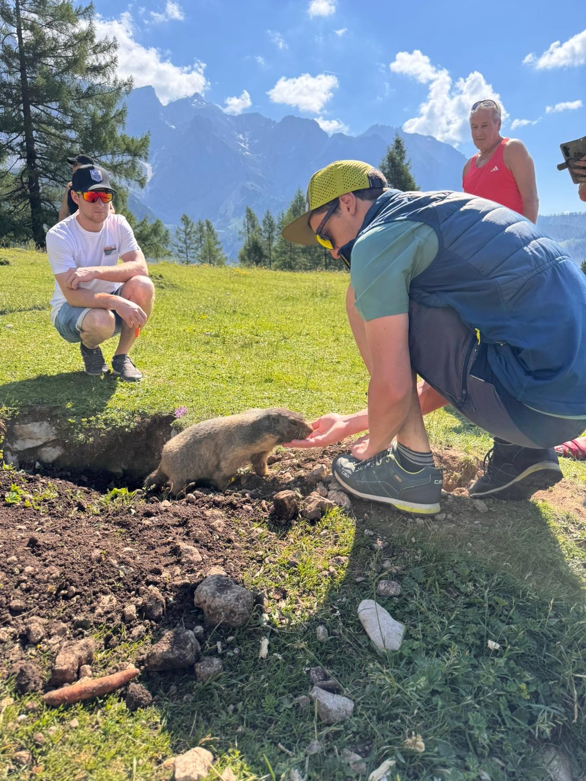 Hotel …mein Neubergerhof****S Ausflugsziele Safari in Österreich - den Murmeltieren auf der Spur