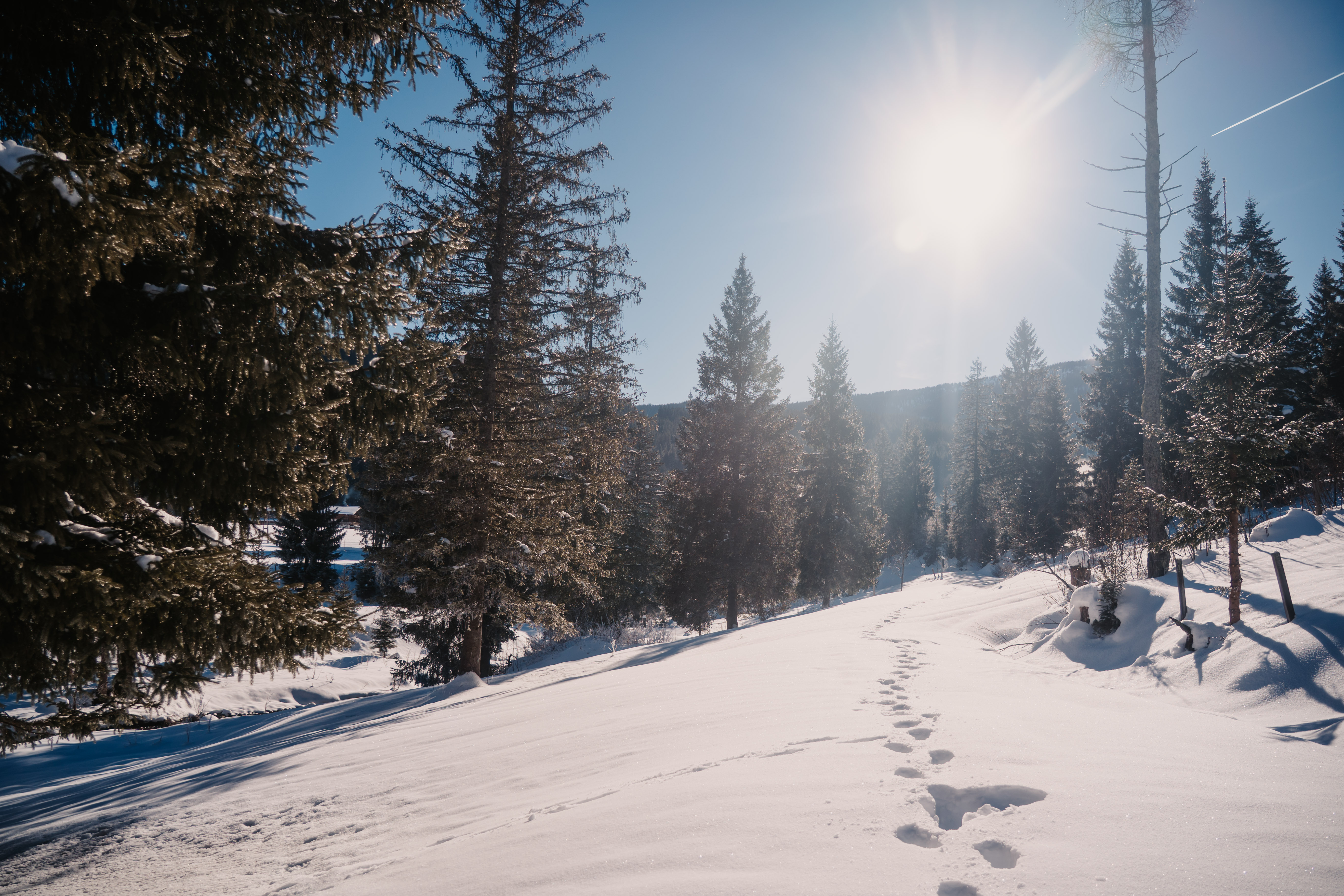 Kinderhotel: Langlaufen durch eine stille, verschneite Winterlandschaft. - Hotel …mein Neubergerhof****