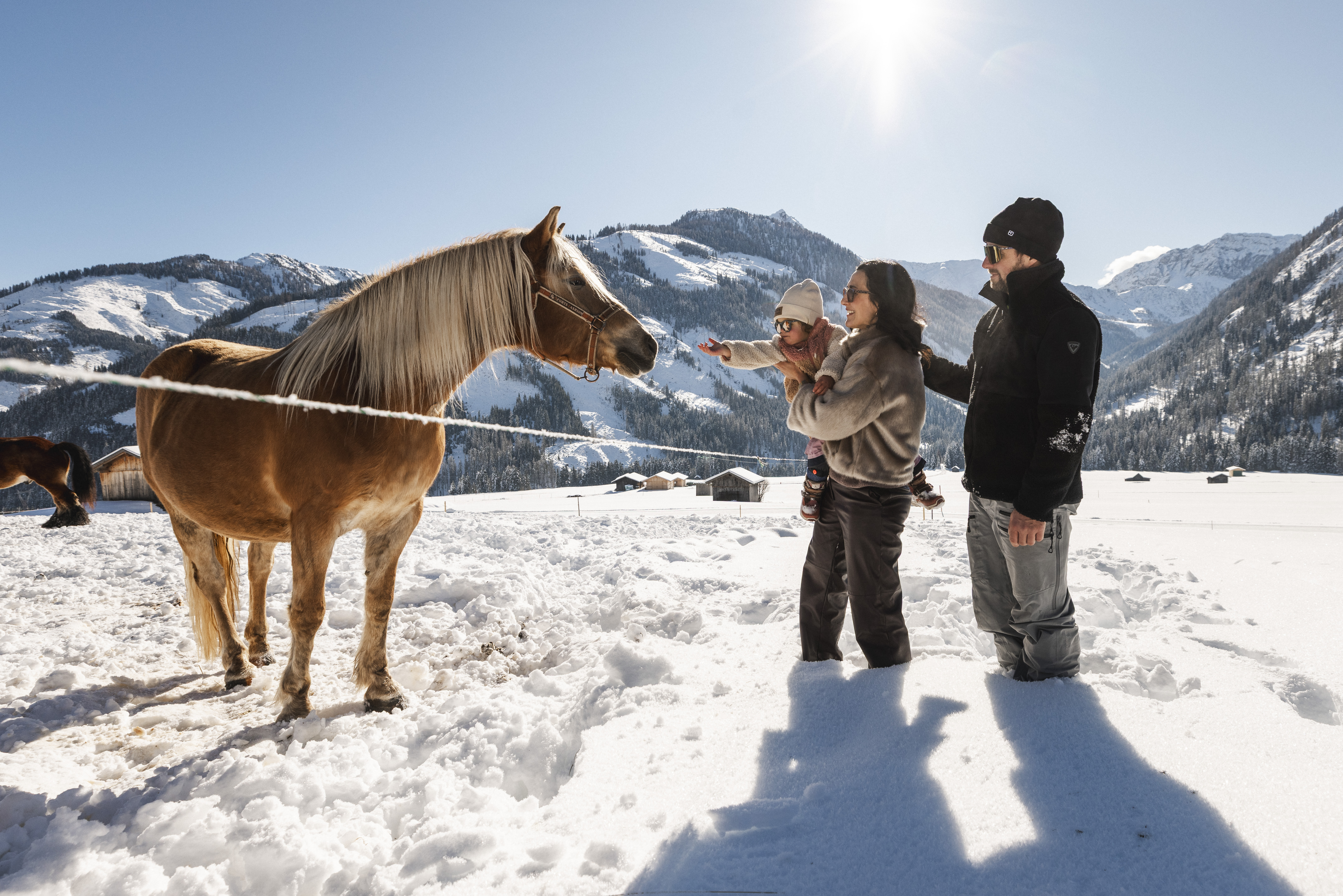 Kinderhotel: Familie mit Pferd - Almfamilyhotel Scherer****s - Familotel Osttirol
