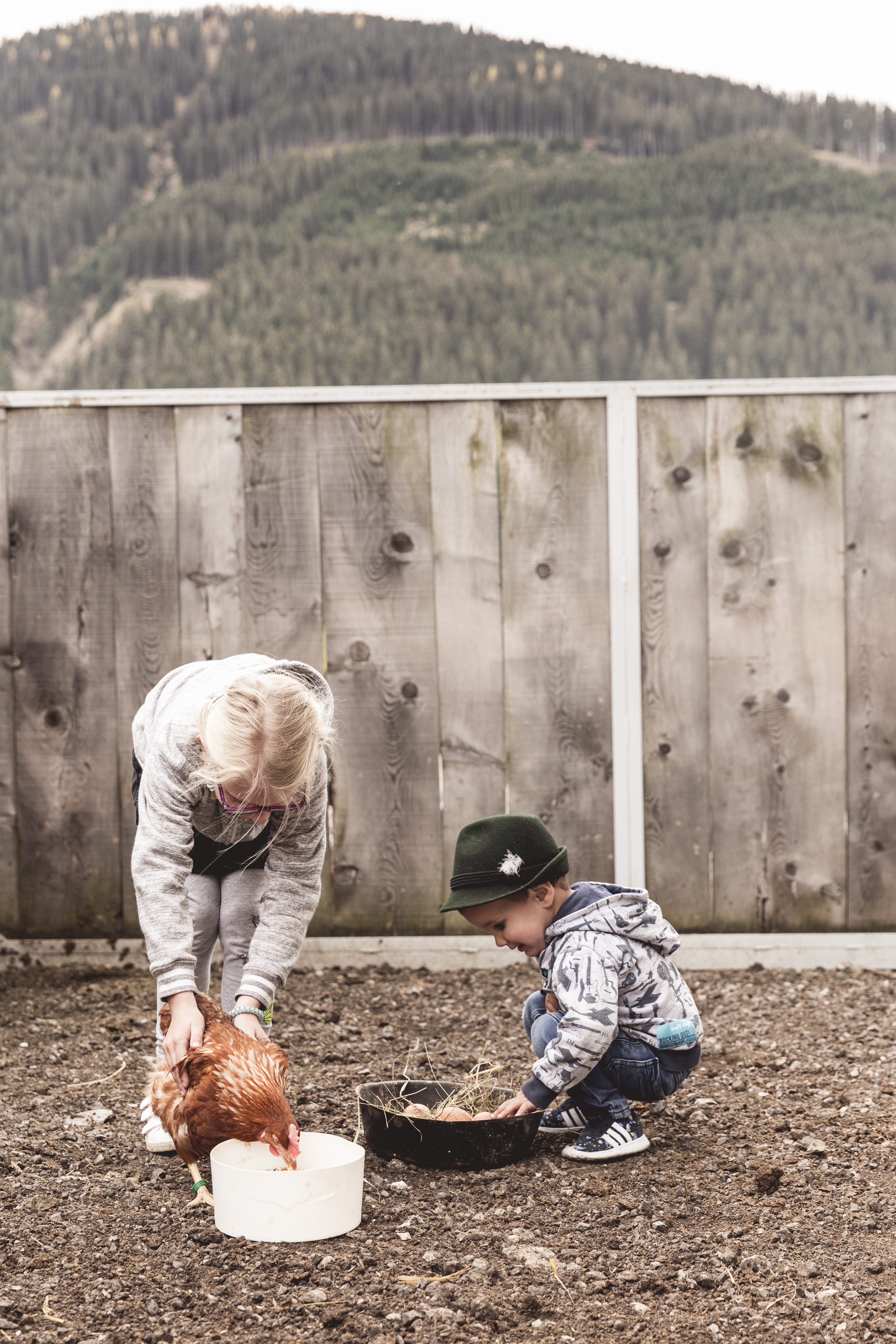 Kinderhotel: Bauernhofbesuch - Almfamilyhotel Scherer****s - Familotel TIROL - Spielen | Entdecken