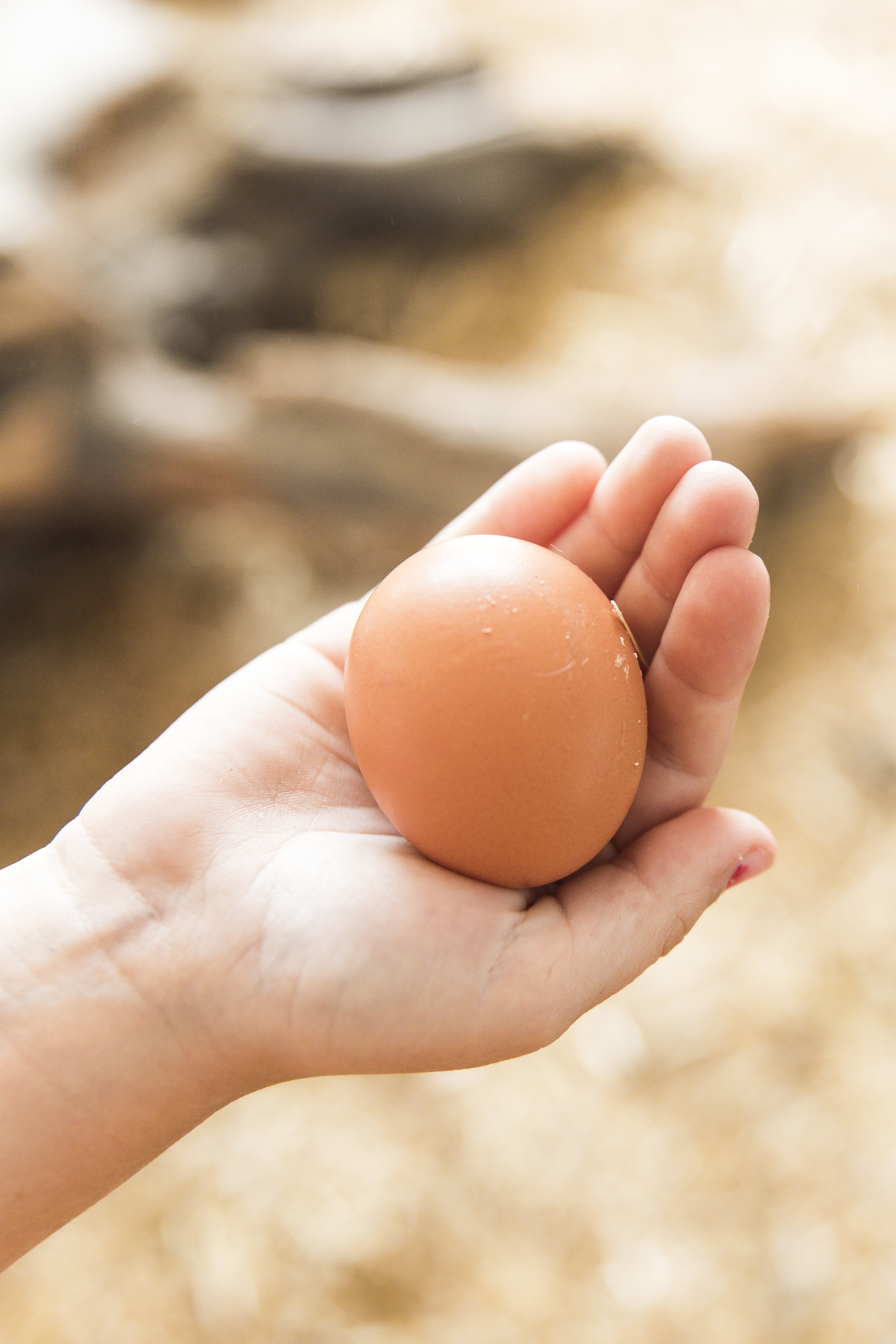 Kinderhotel: Frühstücksei - Almfamilyhotel Scherer****s - Familotel TIROL - Essen | Trinken