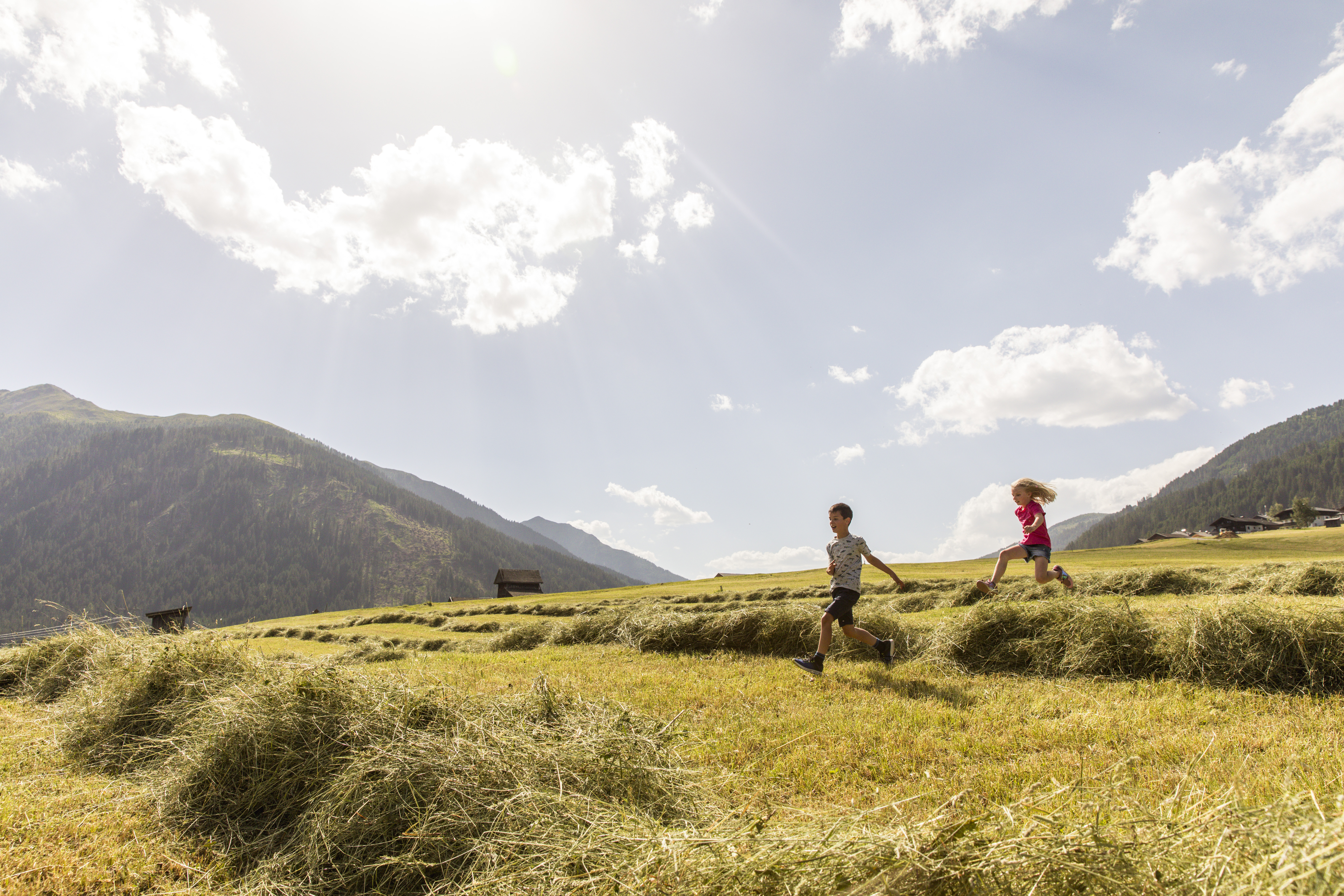 Familienhotel - Österreich - Heuernte in Obertilliach - Almfamilyhotel Scherer****s - Familotel TIROL