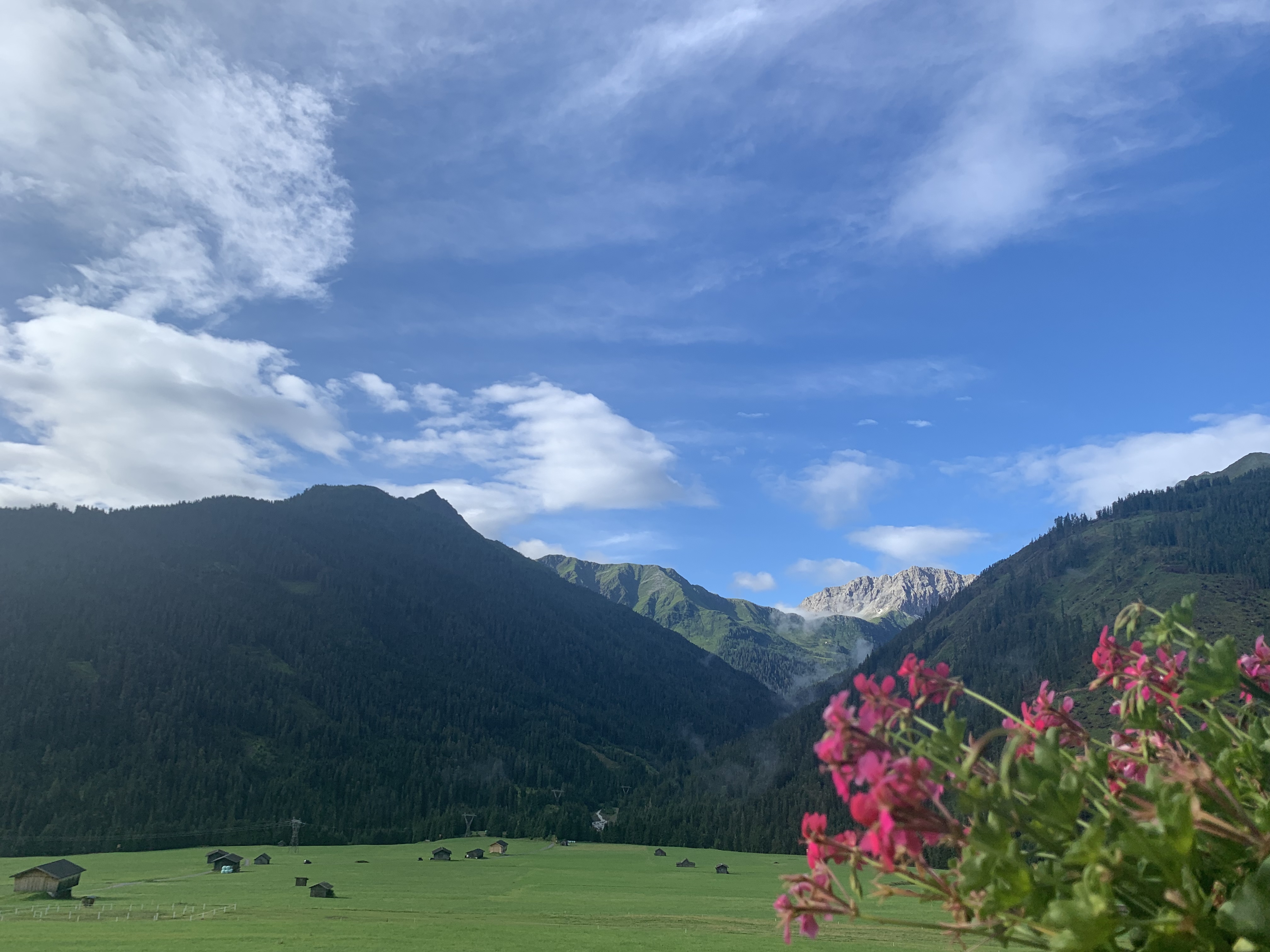 Kinderhotel: Almfamilyhotel Scherer****s - Familotel TIROL