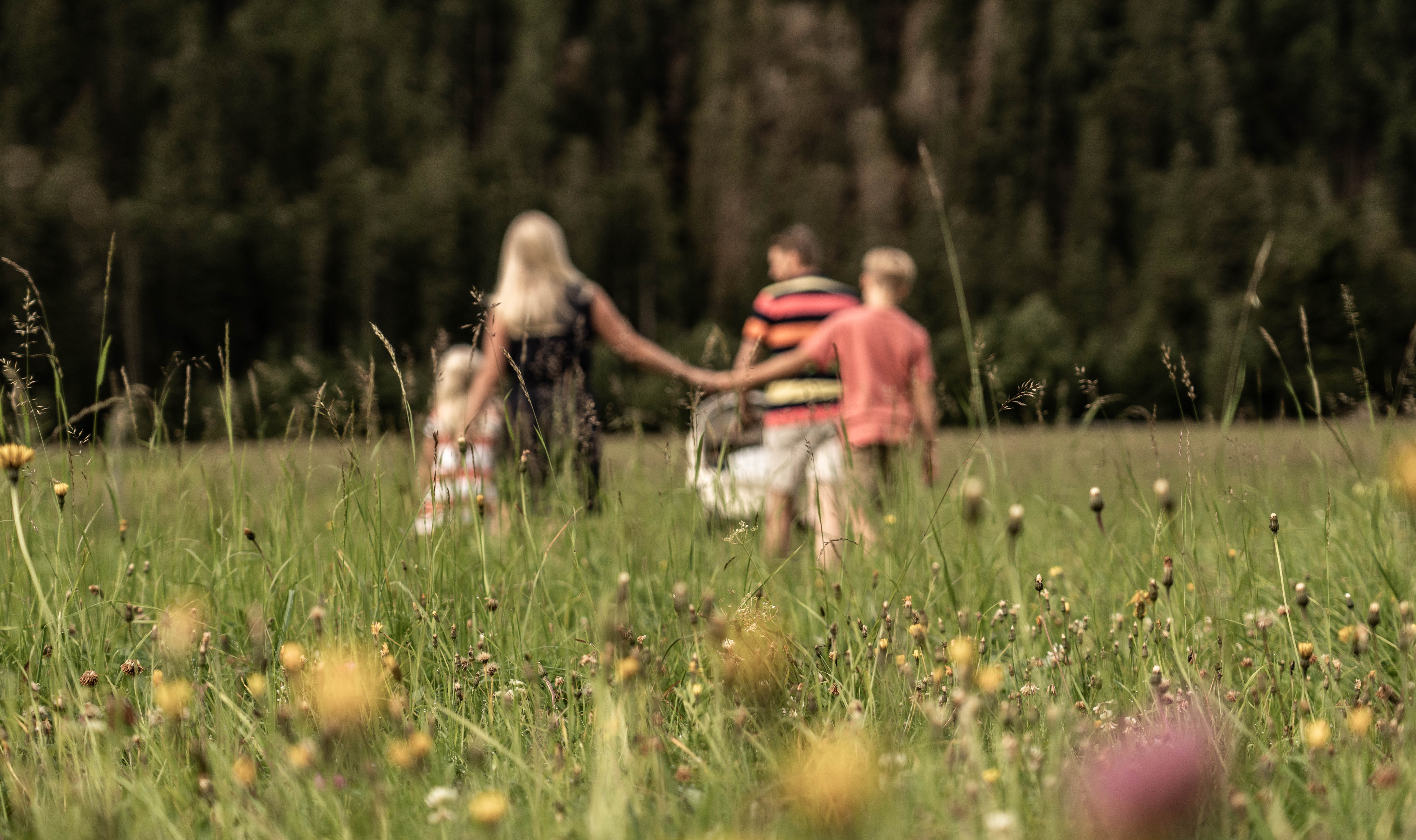 Kinderhotel: Spaziergang durch die Felder Obertilliachs - Almfamilyhotel Scherer****s - Familotel TIROL - Hotel | Umgebung
