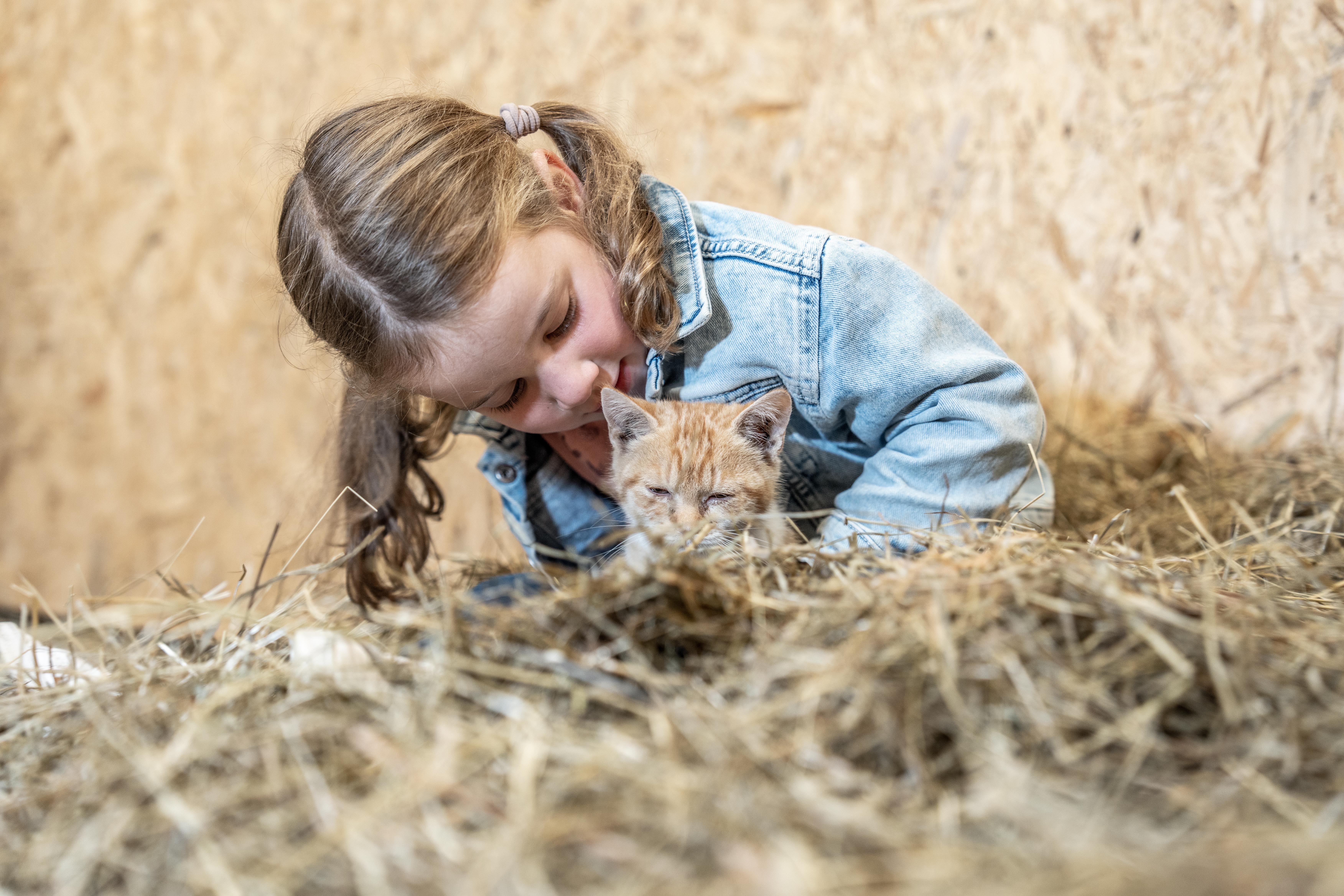 Kinderhotel: Kuschelzeit im Almfamily-Bauernhof - Almfamilyhotel Scherer****s - Familotel TIROL - Spielen | Entdecken
