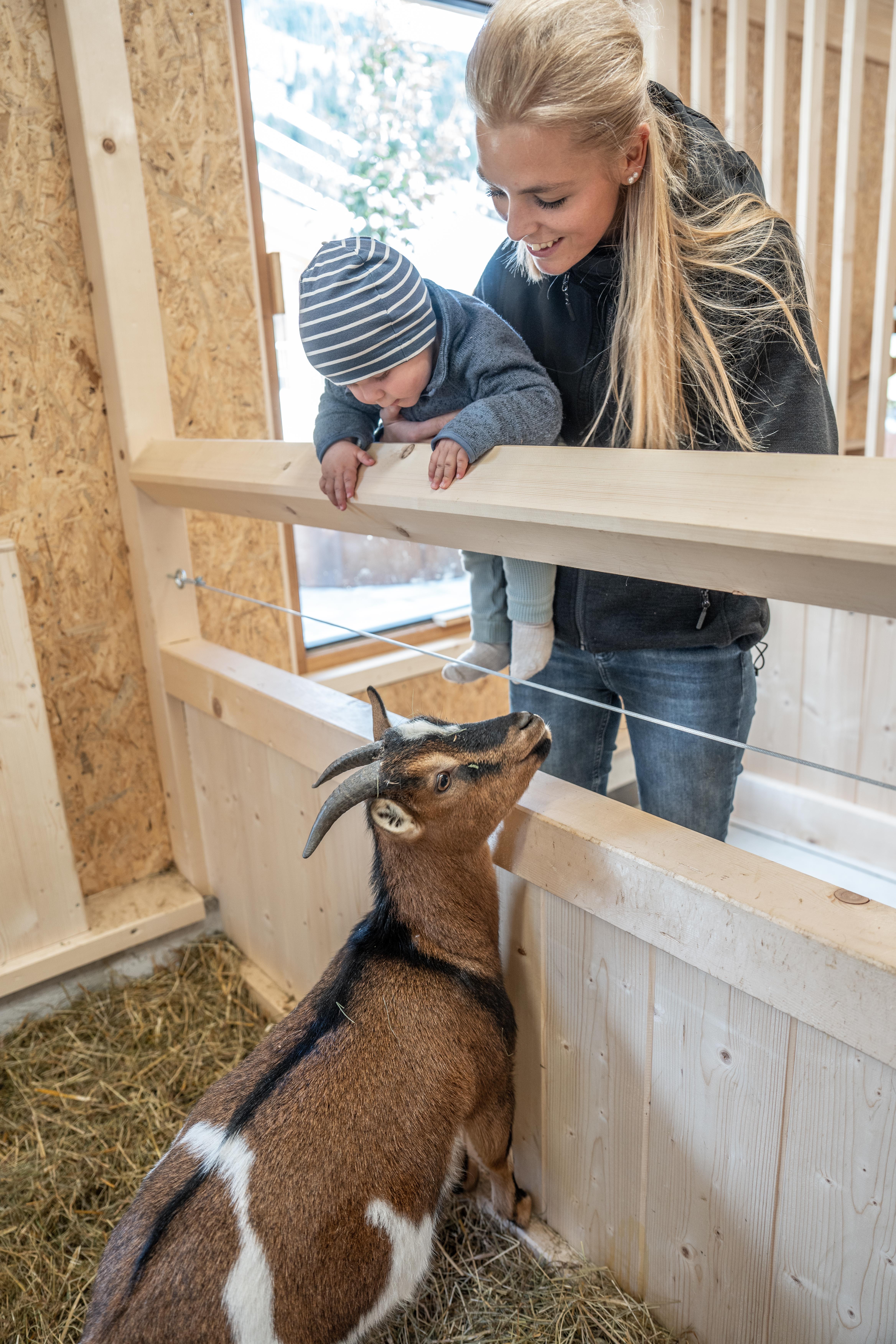 Kinderhotel: Neugierige Blicke - Almfamilyhotel Scherer****s - Familotel TIROL - Spielen | Entdecken
