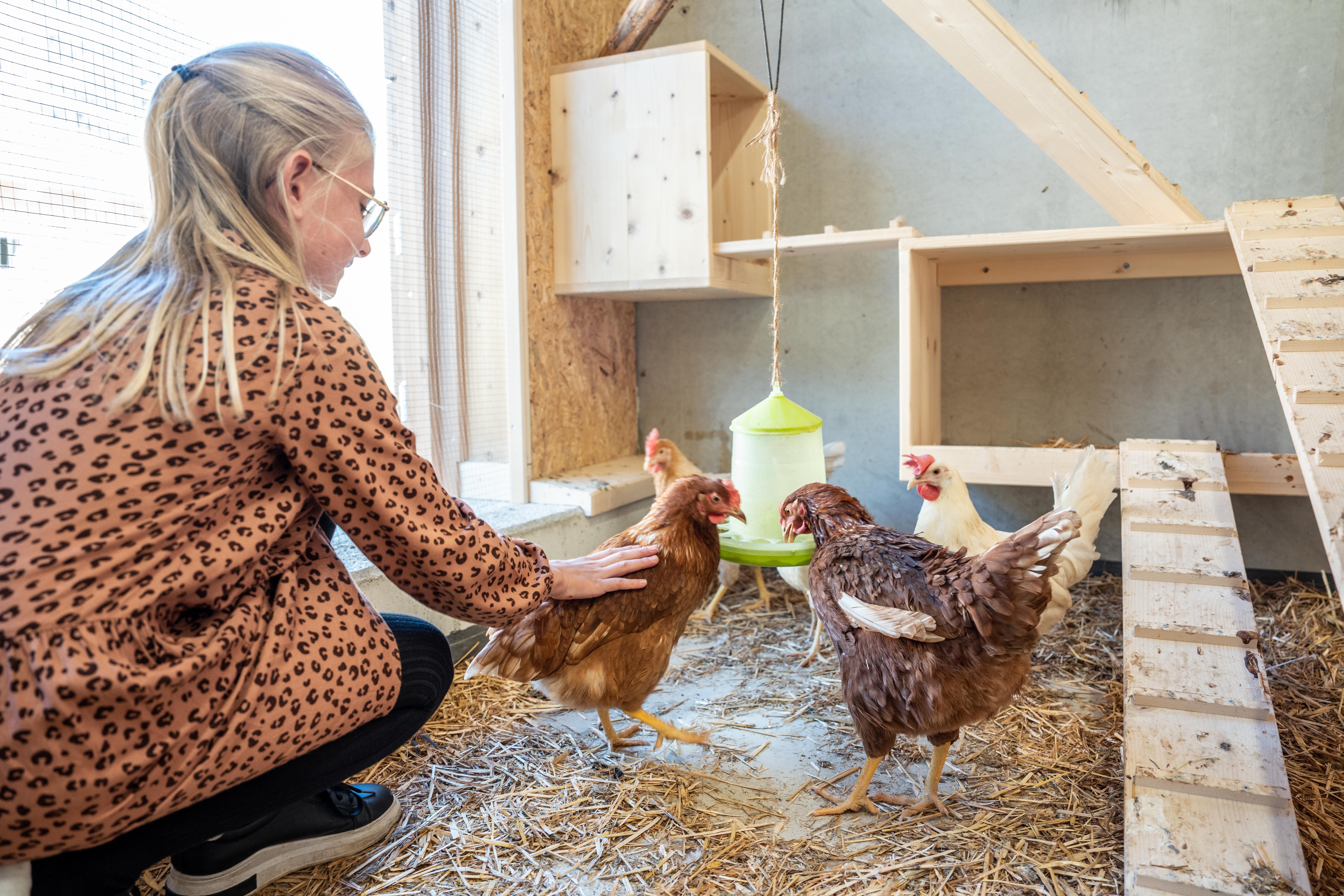 Kinderhotel: liebevolle Streicheleinheiten - Almfamilyhotel Scherer****s - Familotel TIROL - Spielen | Entdecken