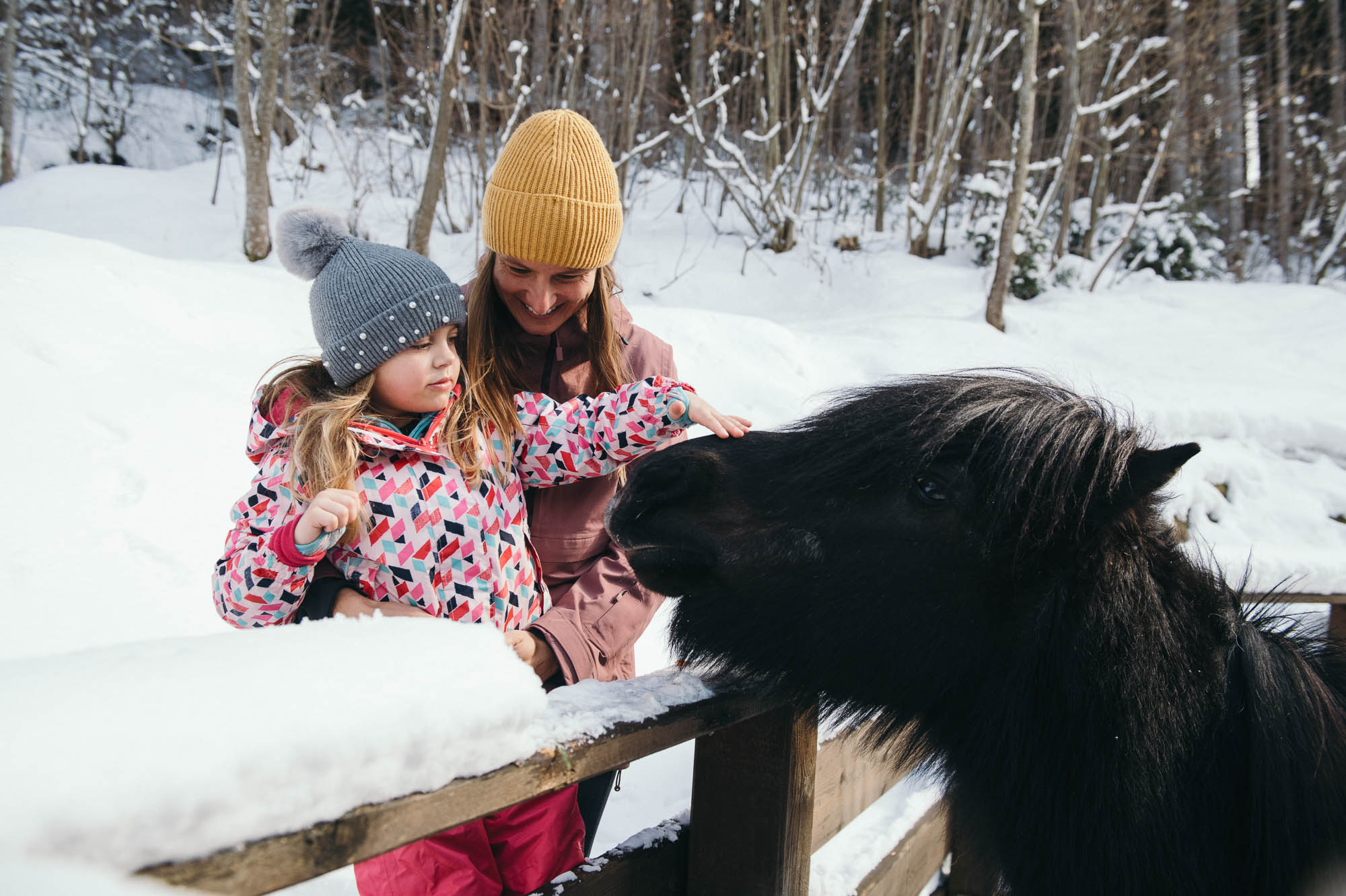 Kinderhotel: Pony füttern - Kinderhotel Waldhof - Spielen | Entdecken