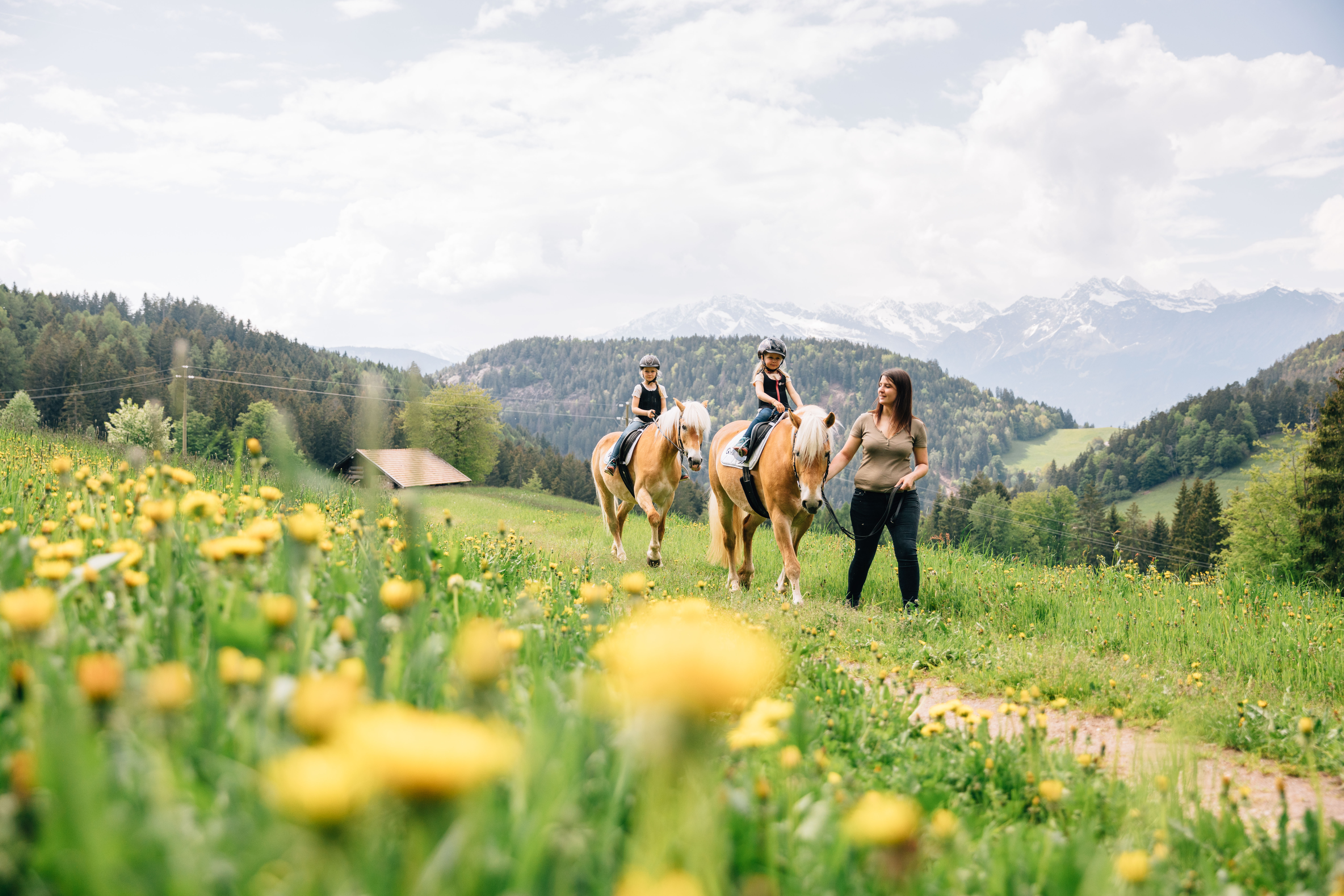 Kinderhotel: Reiten in Hafling

PH: ©TV Hafling-Vöran-Meran 2000_ Benjamin Pfitscher_ Sommer_Reiten - Wohlfühlhotel Falzeben - Hotel | Umgebung
