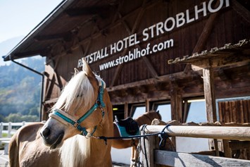 Kinderhotel: Hoteleigener Reiterhof - Stroblhof Active Family Spa Resort