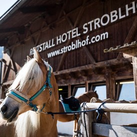 Kinderhotel: Hoteleigener Reiterhof - Stroblhof Active Family Spa Resort