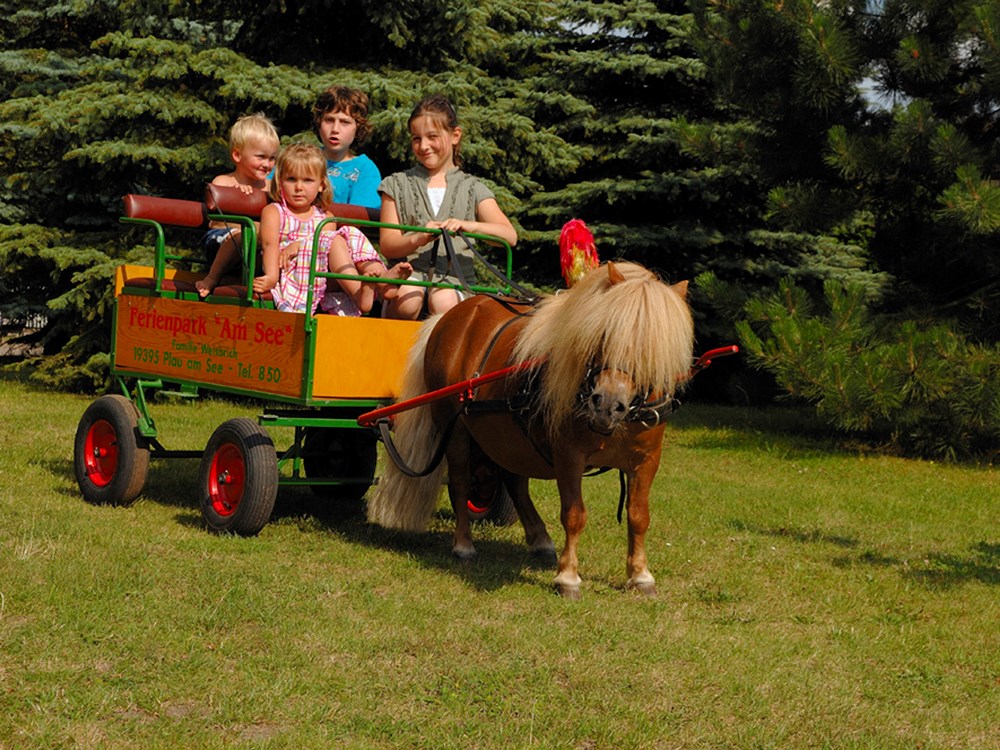 Kinderhotel: Ponykutschfahrten für die Kinder - Ferienpark Heidenholz
