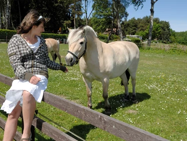 Kinderhotel: Reiten in die Umgebung - Ferienpark Heidenholz