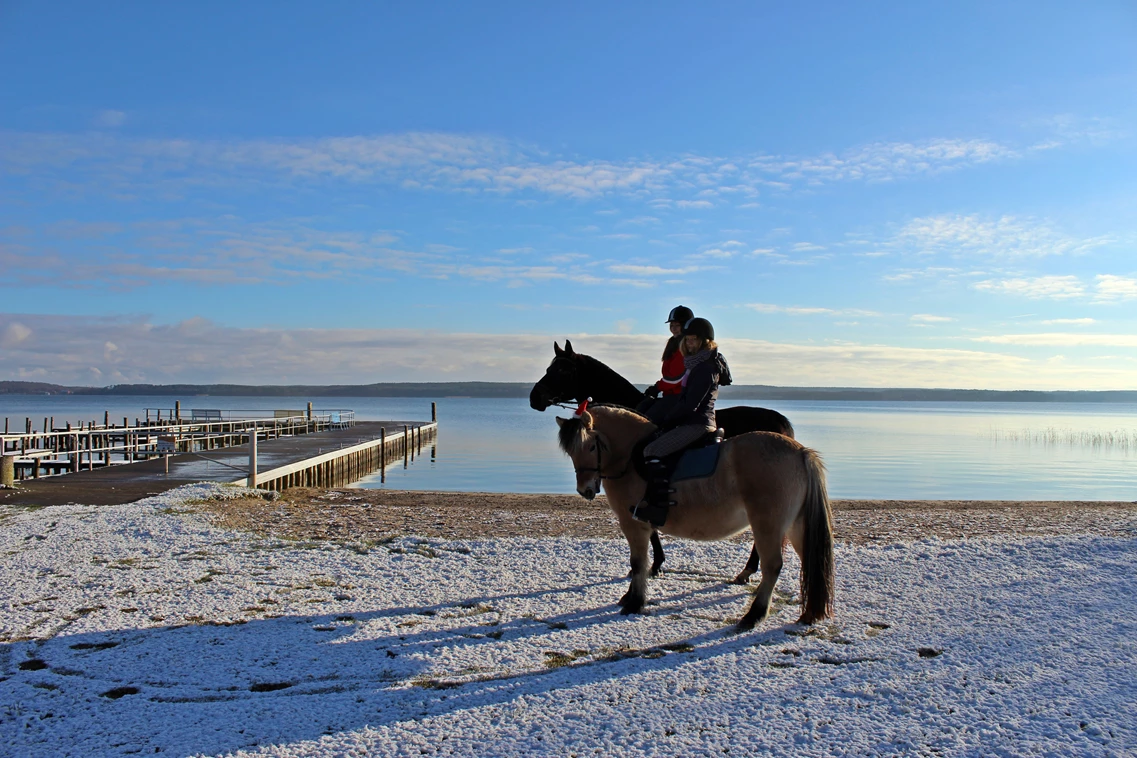 Kinderhotel: Winterliche Ausritte - Ferienpark Heidenholz