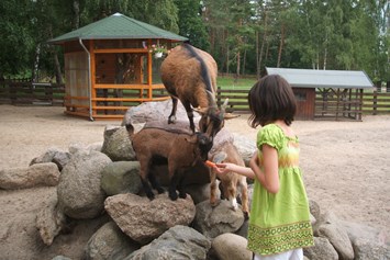 Kinderhotel: Streichelzoo mit Ziegen, Alpakas, Esel, Ponys und Pferden, Meerschweinchen, Kaninchen, Vogelvoliere mit Sittichen, Zwerghühner und Zierfische - Aparthotel Am See
