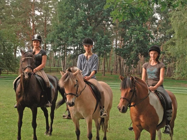 Kinderhotel: Reiten in die Umgebung - Aparthotel Am See