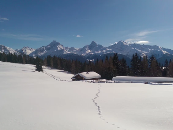 Kinderhotel: Schneeschuhwanderung Wiesner Alp - Aparthotel Muchetta - Davos Wiesen - Graubünden - Schweiz - Aparthotel Muchetta