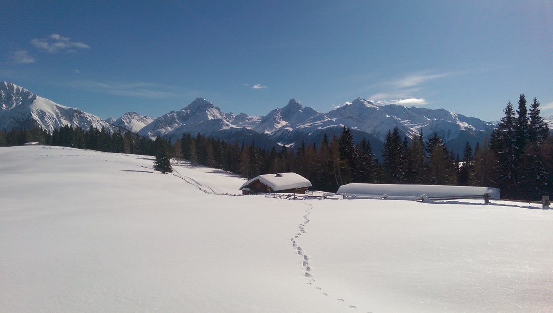 Kinderhotel: Schneeschuhwanderung Wiesner Alp - Aparthotel Muchetta - Davos Wiesen - Graubünden - Schweiz - Aparthotel Muchetta