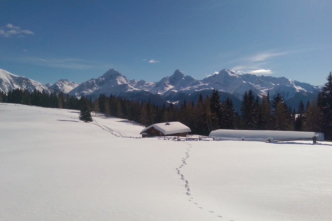 Kinderhotel: Schneeschuhwanderung Wiesner Alp - Aparthotel Muchetta - Davos Wiesen - Graubünden - Schweiz - Aparthotel Muchetta